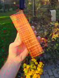 Image 3 of Tasmanian Blackwood 92