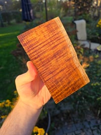 Image 2 of Tasmanian Blackwood 94