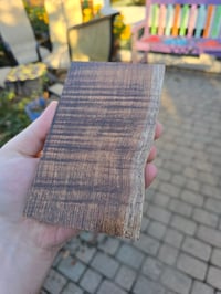 Image 1 of Tasmanian Blackwood 94