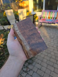 Image 4 of Tasmanian Blackwood 94