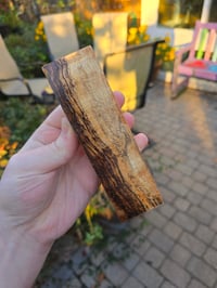 Image 1 of Tasmanian Blackwood 95