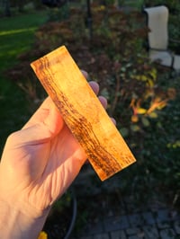 Image 4 of Tasmanian Blackwood 95
