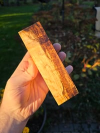 Image 3 of Tasmanian Blackwood 95