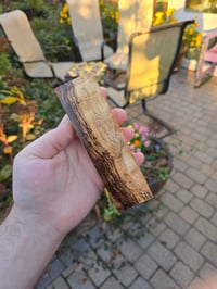 Image 2 of Tasmanian Blackwood 95