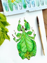 Image 1 of Green Leaf Insect ORIGINAL ARTWORK 