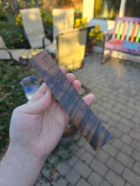 Image 3 of Tasmanian Blackwood 96