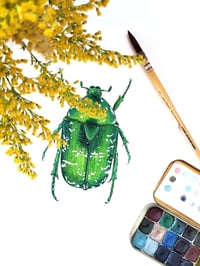 Image 1 of Protaetia Flower Chafer ORIGINAL ARTWORK 