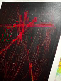 Image 5 of The Blair Witch Project
