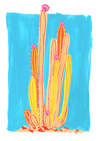 Image 2 of San Pedro Cactus