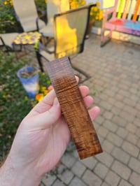 Image 2 of Tasmanian Blackwood 99