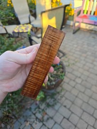Image 1 of Tasmanian Blackwood 99