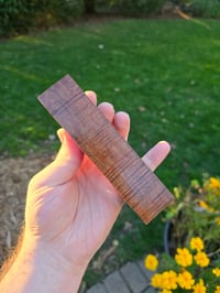 Image 3 of Tasmanian Blackwood 101