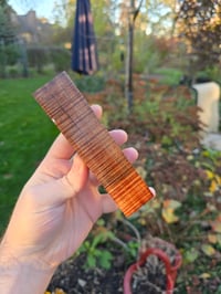 Image 2 of Tasmanian Blackwood 101