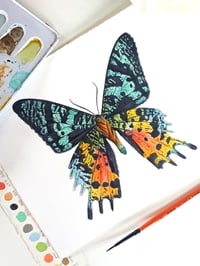 Image 2 of Sunset Moth ORIGINAL ARTWORK 