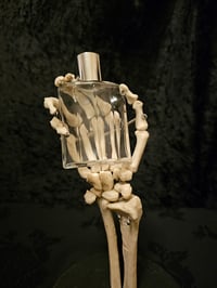 Image 2 of Vintage decorative bottle with Real Preserved Web