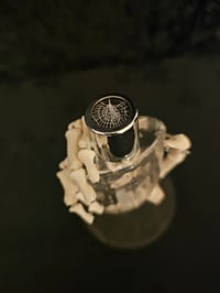 Image 3 of Vintage decorative bottle with Real Preserved Web