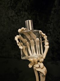 Image 4 of Vintage decorative bottle with Real Preserved Web