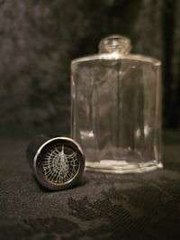 Image 5 of Vintage decorative bottle with Real Preserved Web