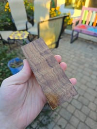 Image 4 of Tasmanian Blackwood 103