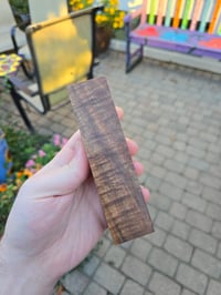 Image 2 of Tasmanian Blackwood 104