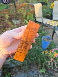 Image 3 of Tasmanian Blackwood 104