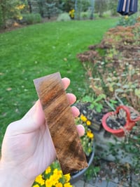 Image 2 of Tasmanian Blackwood 106