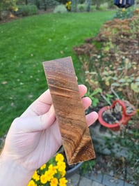 Image 1 of Tasmanian Blackwood 106