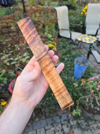Image 2 of Tasmanian Blackwood 109