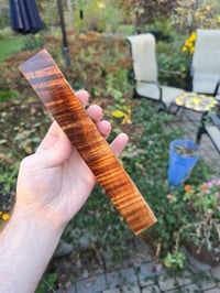 Image 3 of Tasmanian Blackwood 109