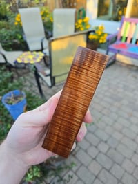 Image 1 of Tasmanian Blackwood 110