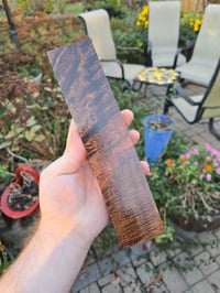 Image 3 of Tasmanian Blackwood 111