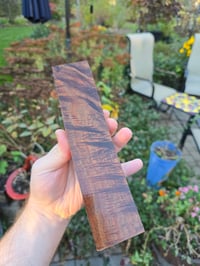 Image 2 of Tasmanian Blackwood 111