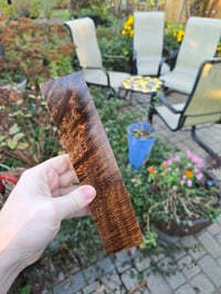 Image 1 of Tasmanian Blackwood 111