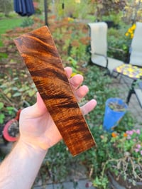 Image 4 of Tasmanian Blackwood 111