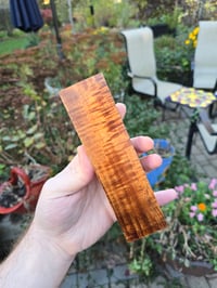 Image 1 of Tasmanian Blackwood 112