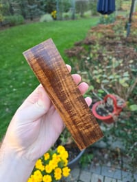 Image 3 of Tasmanian Blackwood 112