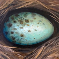 Blue Jay Egg