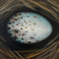 House Sparrow Egg