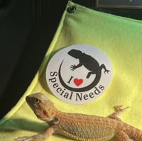 Special Needs Sticker