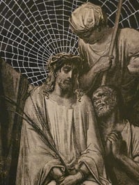 Image 7 of STATEMENT - JESUS - 1800's bible page and preserved web in antique frame