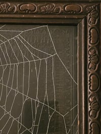 Image 4 of 1800s Bible Cover With Real Preserved Web In Antique wooden Frame