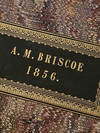 Image 5 of 1800s Bible Cover With Real Preserved Web In Antique wooden Frame
