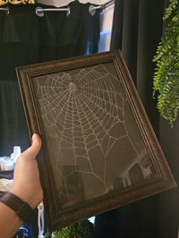 Image 7 of 1800s Bible Cover With Real Preserved Web In Antique wooden Frame