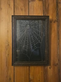 Image 1 of 1800s Bible Cover With Real Preserved Web In Antique wooden Frame
