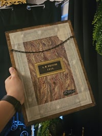 Image 2 of 1800s Bible Cover With Real Preserved Web In Antique wooden Frame
