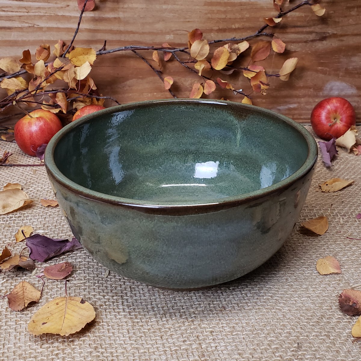 Image of One sturdy bowl, Lichen (Green) #2 11/2024