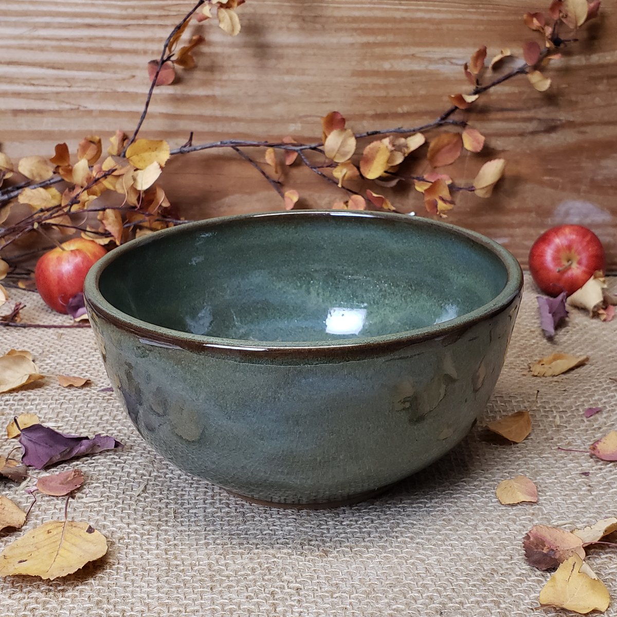 Image of One sturdy bowl, Lichen (Green) #2 11/2024