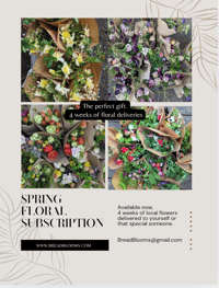 Spring Floral Subscription 2025