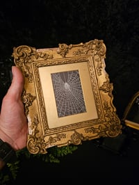 Image 1 of Beautiful Ornate Antique Wooden Framed Web