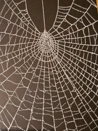 Image 5 of Beautiful Ornate Antique Wooden Framed Web